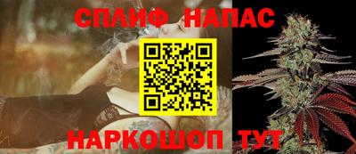 мдпв Донской