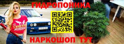 сатива Дубна