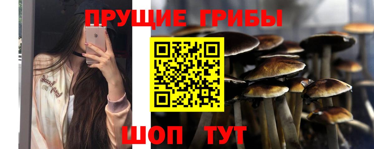 Галлюциногенные грибы Psilocybine cubensis  Вход с VPN  купить закладку  Лесосибирск 